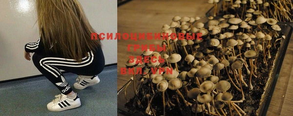 марки nbome Белокуриха