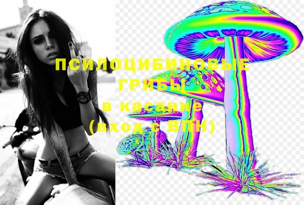 марки nbome Белокуриха