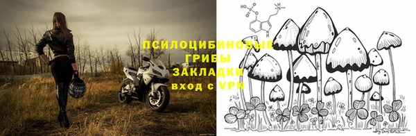 эйфоретик Беломорск